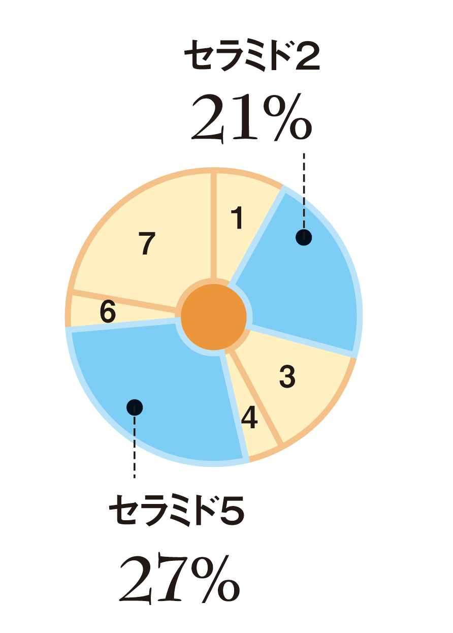 ノーベル化学賞”受賞技術。肌と同じ構造のセラミドを配合。 『肌型セラミドクリーム 潤みど』9月26日(月)新発売！ ～「通販生活」のコスメブランド「 スロワージュ」で限定発売～｜株式会社カタログハウスのプレスリリース