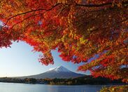 富士河口湖町にて「第22回 富士河口湖紅葉まつり」を開催　「新しい生活様式」に基づく旅のあり方を推進