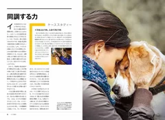 『犬の能力」中面