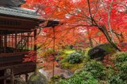 秋の京都の紅葉や夜景を貸し切りで堪能　早朝や夜間、密を避けた『秋の貸切プラン』を販売開始
