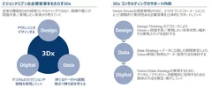 DII流の経営コンサルティング