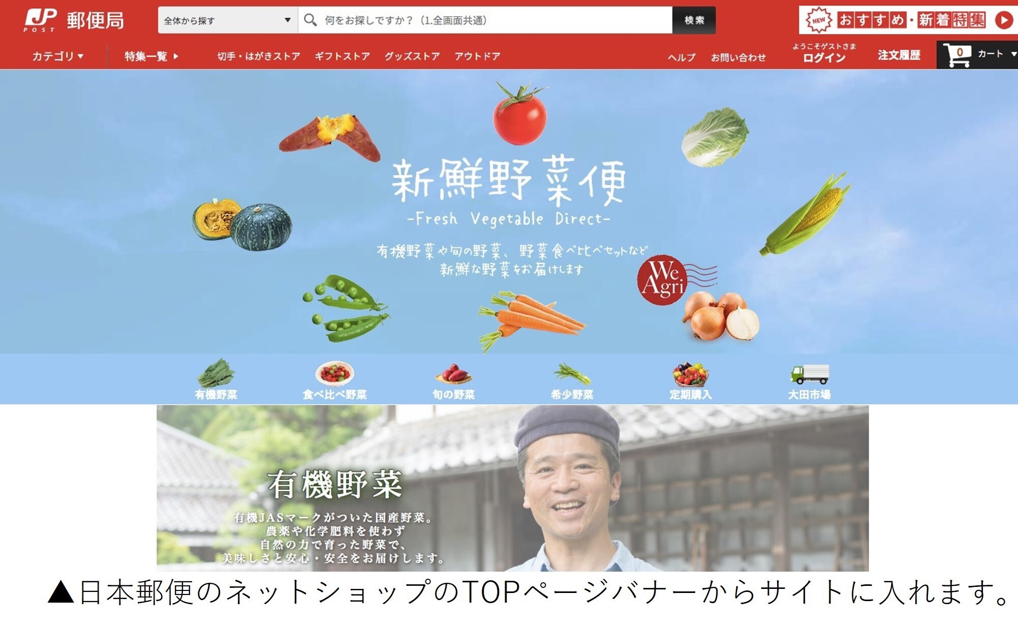 日本郵便のネットショップで旬な新鮮野菜を届ける通販サイトを開設 新鮮野菜便 Fresh Vegetable Direct 11月16日より販売開始 テックファームホールディングス株式会社のプレスリリース