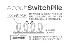 業界初の特許取得！スイッチパイル