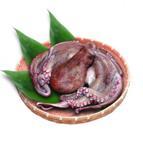 千葉で新鮮魚介を食べるならコレ 今食べて欲しい千葉県の海の幸 イベント情報を公開 千葉県広報事務局のプレスリリース