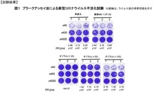 図1　プラークアッセイ法による新型コロナウイルス不活化試験