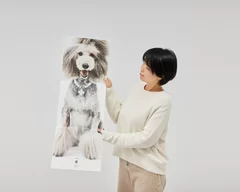 犬専用の等身大フォトブック「ONE BOOK」- 大型犬　スタンダードプードル