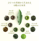 ひとつの茶園から生まれる6種の日本茶