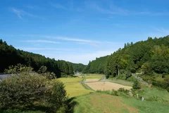 柴田酒造場周辺