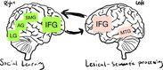 SL2アプローチに関与する脳領域を大まかに示した図