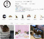 猫壱公式Instagram