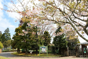ガーデンミュージアム比叡西門と開花が始まった桜
