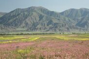 キルギス共和国の風景