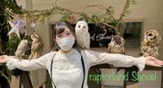 フクロウツリー体験