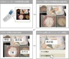 画像判別ステップのイメージ図