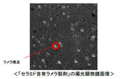 「セラミド含有ラメラ製剤」の偏光顕微鏡画像