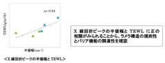 X線回折ピークの半値幅とTEWL