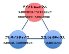 製品図2