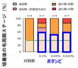 図3．「MITOL活性化成分：ボタンピエキス」による成長期の延長