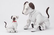 左が通常のaibo、右が「バイボ」