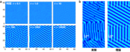 図1　(a) ビスマス単原子膜で時間と共にチューリング・パターンが形成される様子。(b) 実験と理論の比較。