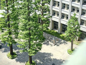 明治学院大学