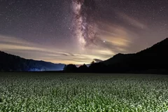 開田高原の星空