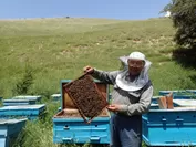 キルギスの養蜂家