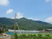 梨農園さんのある栃木県栃木市大平町の風景。自然豊かな環境です。
