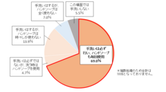 外出先から戻った際の手洗い状況