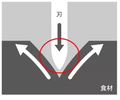 ハマグリ加工