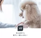 「Dog×Stay」プランの特徴3