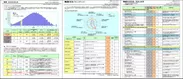 帳票イメージ3(現状診断機能)