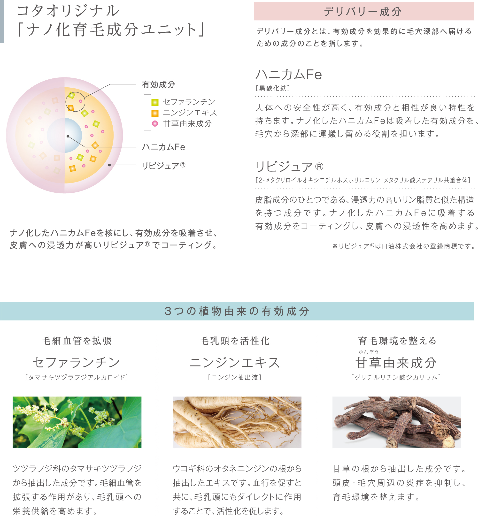 コタ エイジンググロウセラム150g育毛剤 - スカルプケア