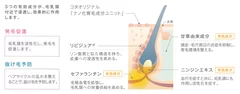 コタオリジナル「ナノ化育毛成分ユニット」の作用