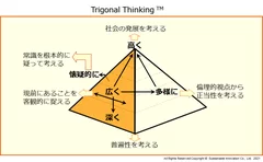 Fig.2 Trigonal Thinking