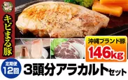 【定期便12回】沖縄キビまる豚3頭分(約146kg)