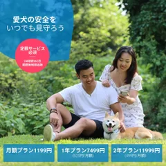 愛犬の安全をいつでも見守ろう