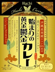 始まりの黄金鬱金カレー　パッケージ