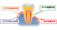 作用イメージ図