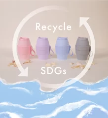 SDGs