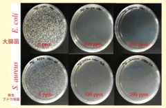 大腸菌と黄色ブドウ球菌とコロイダルシルバーをシャーレに入れた図