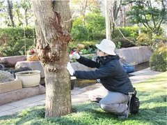 ウェルネ_日比谷花壇_お庭の管理メニュー_イメージ