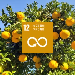 SDGs12番