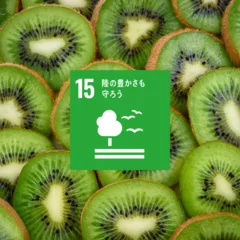 SDGs15番