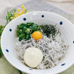 しらす丼　出汁マヨ添え