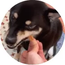 『PETKISS ワンちゃんの歯みがきおやつ ソフトクッキー』特長(3)