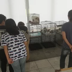 保護犬猫の譲渡会