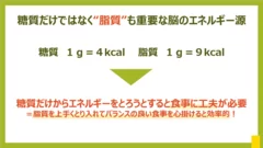 脂質も重要なエネルギー源