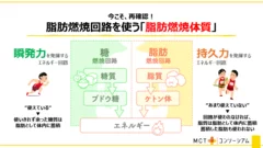 カギとなるのは「ケトン体」