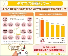タマゴの栄養パワー！
